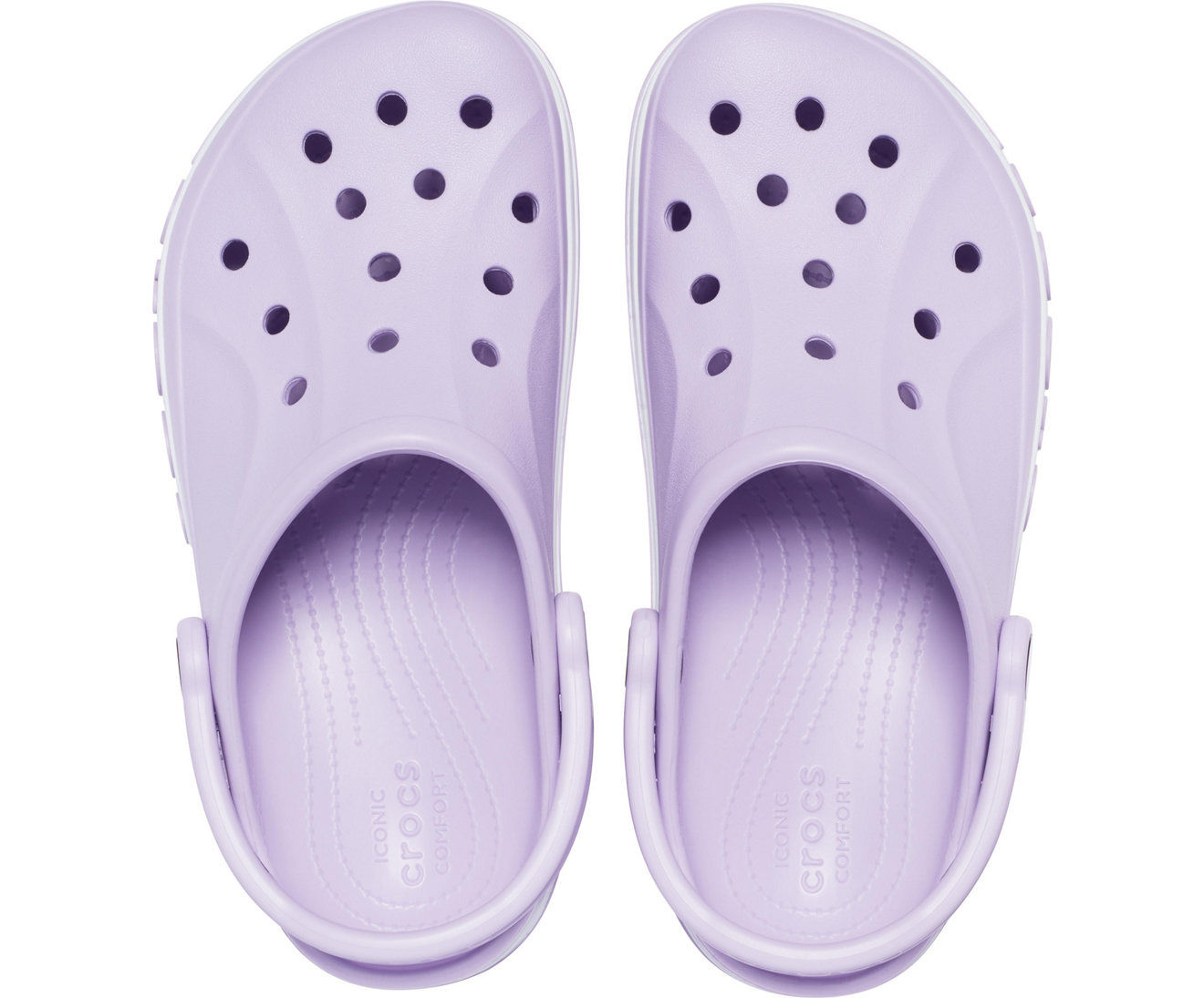 Bayaband clog Purple